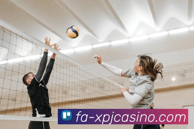 新葡京娱乐品牌故事