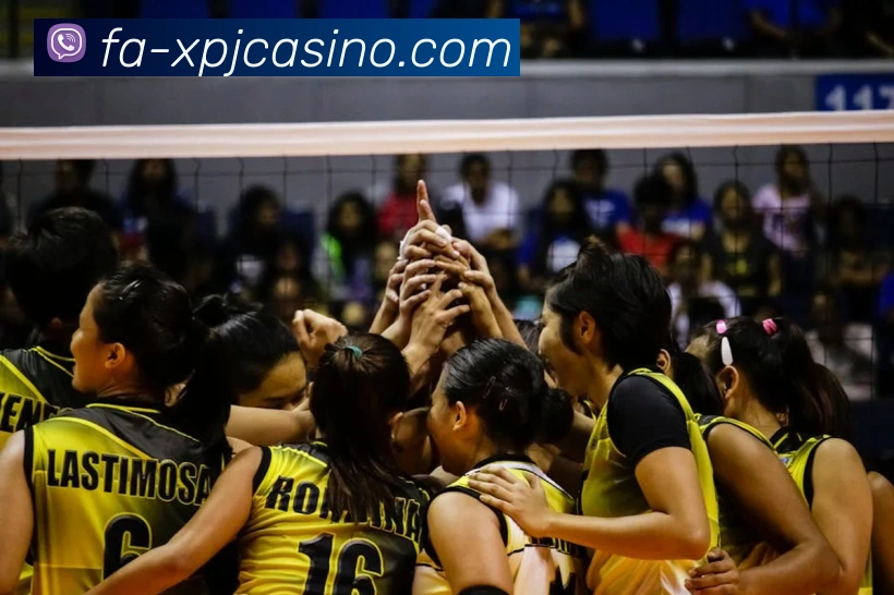 新葡京娱乐服务体系